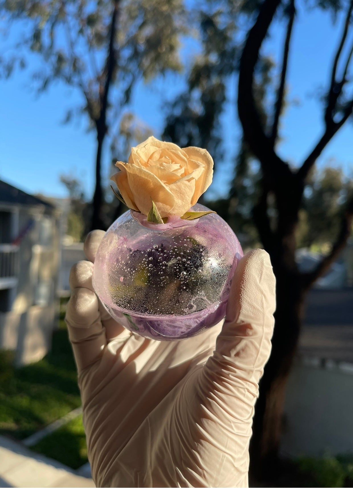 Surprise Flower Tea Bomb