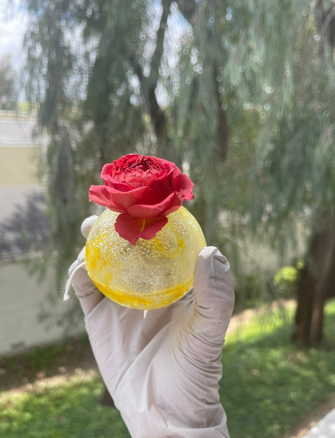 Surprise Flower Tea Bomb