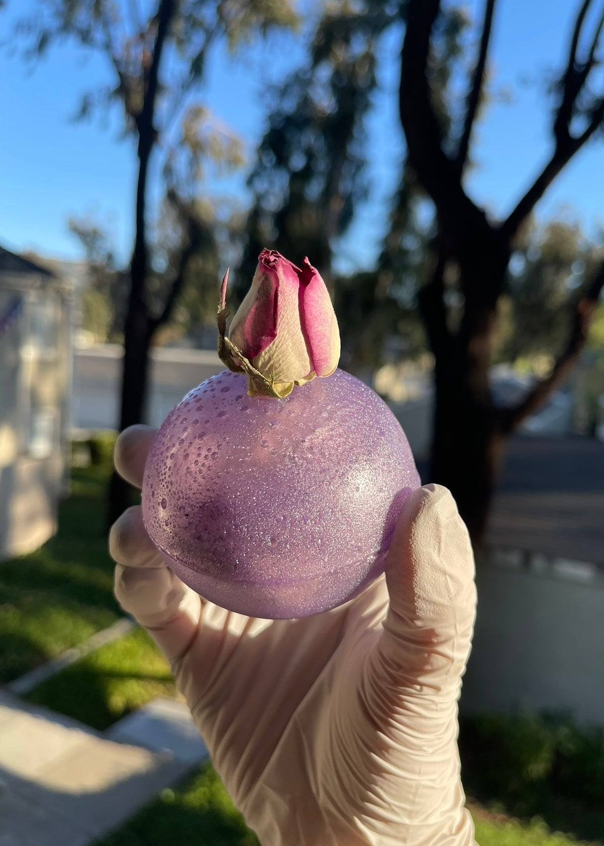 Surprise Flower Tea Bomb