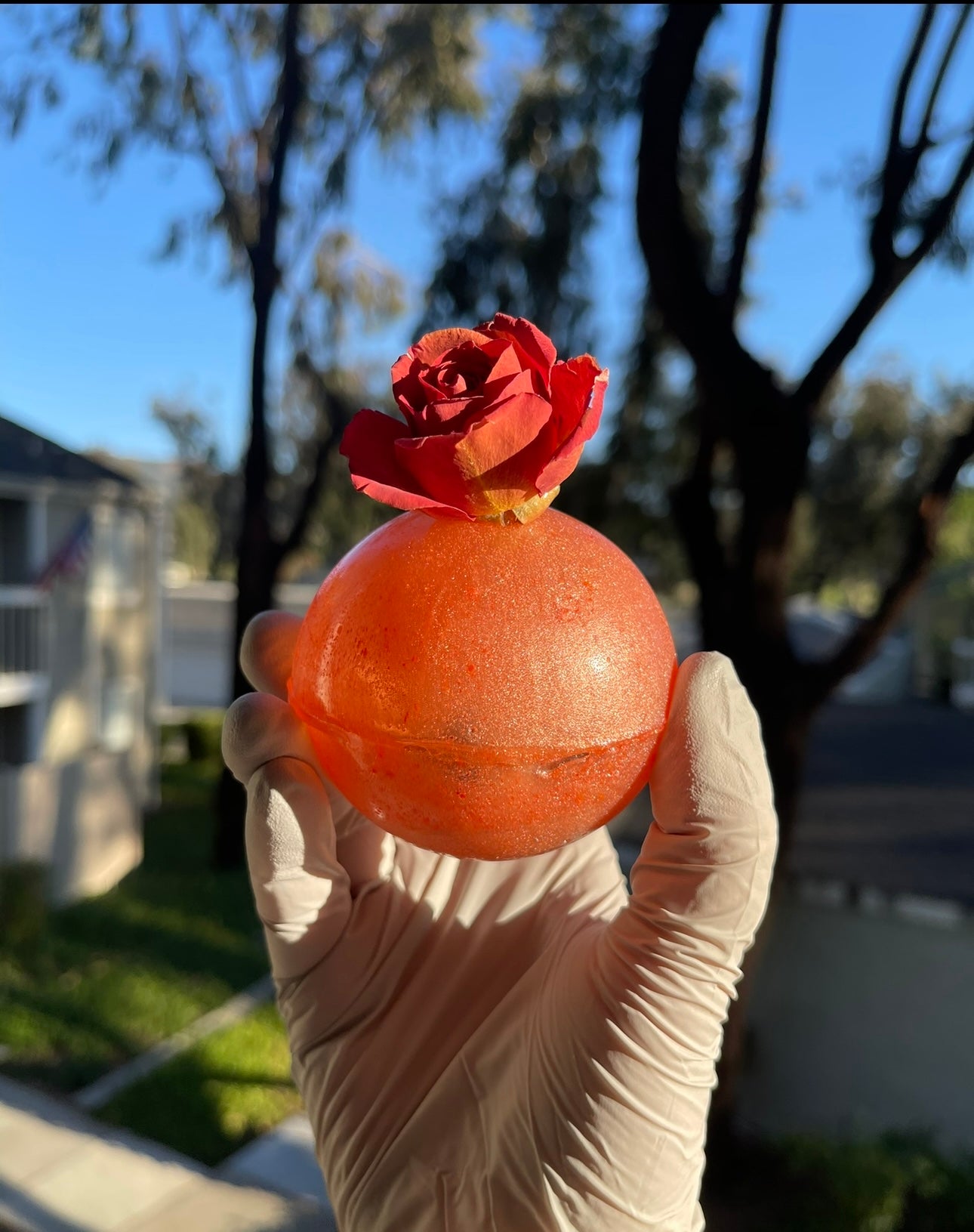 Surprise Flower Tea Bomb