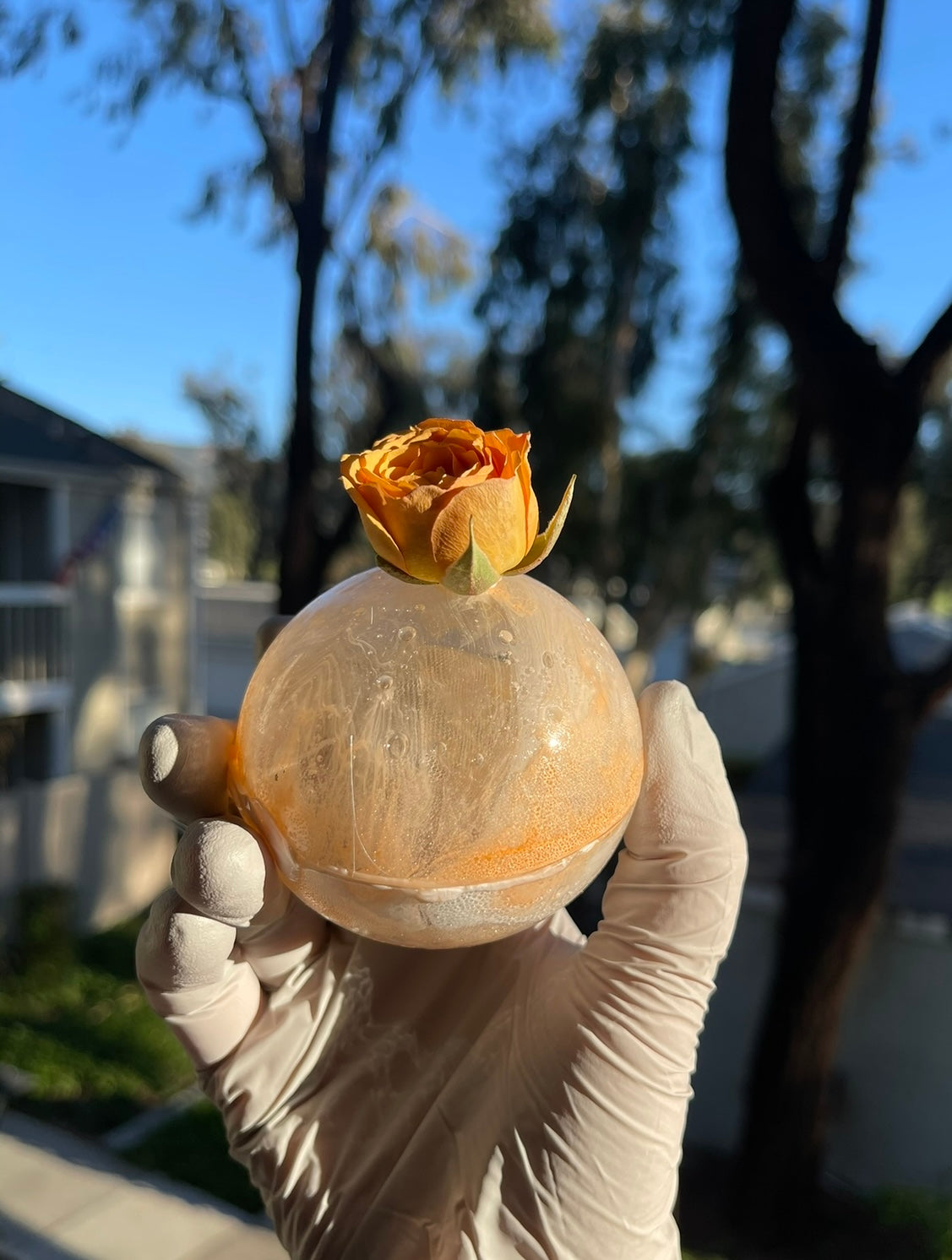 Surprise Flower Tea Bomb
