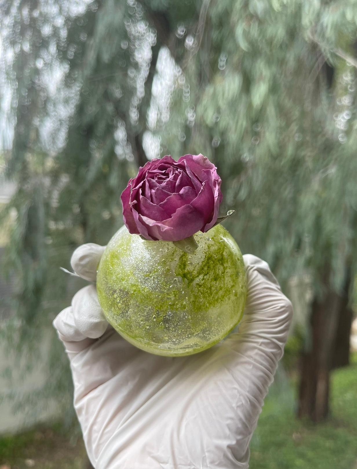 Surprise Flower Tea Bomb