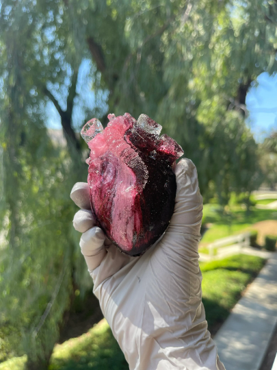 The Romantic Heart