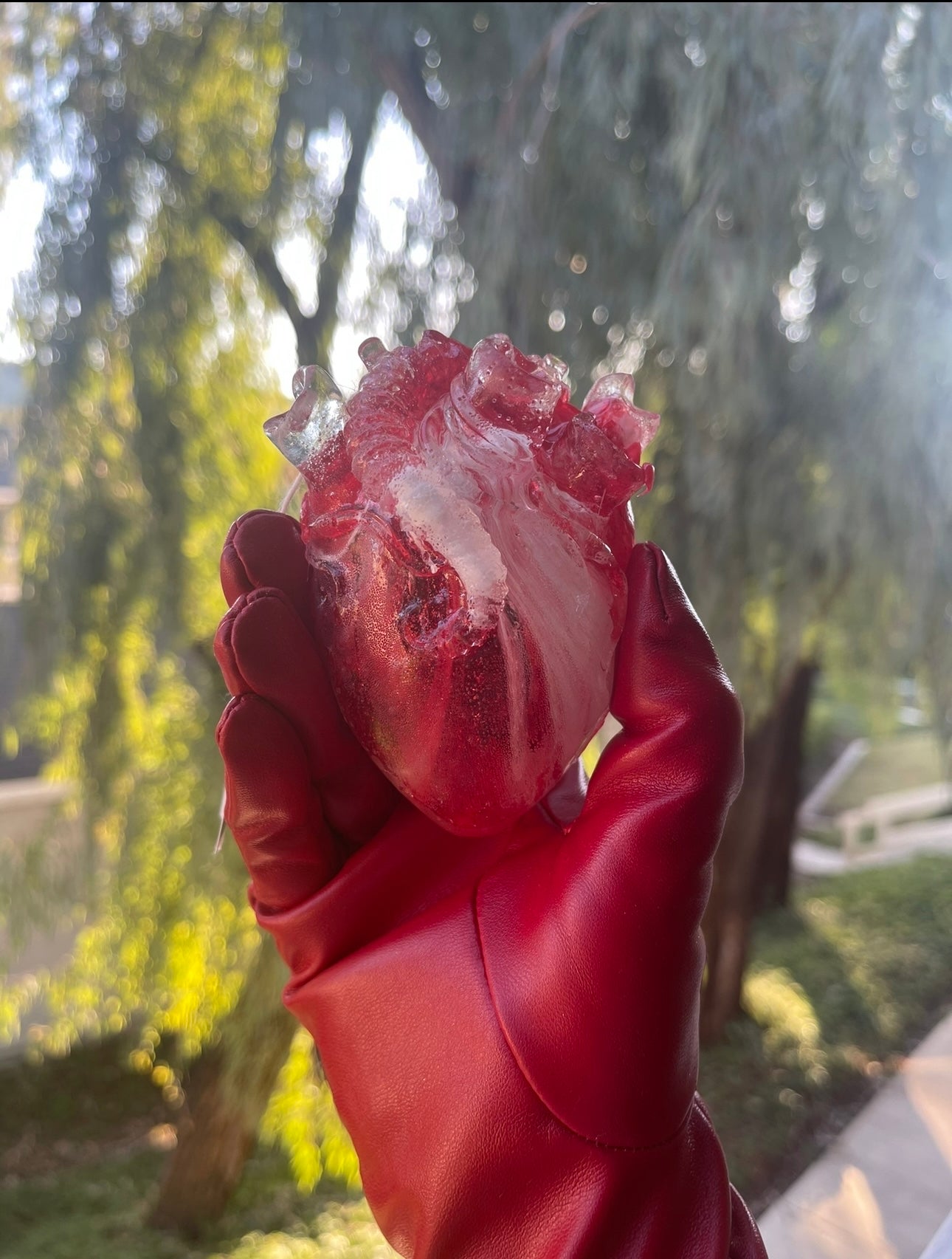 Candy Cane Heart Tea Bomb